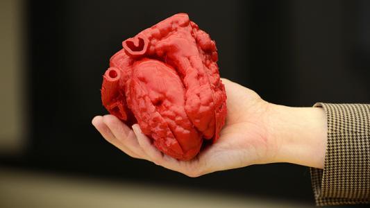 Croí priontála 3D 3D printing heart